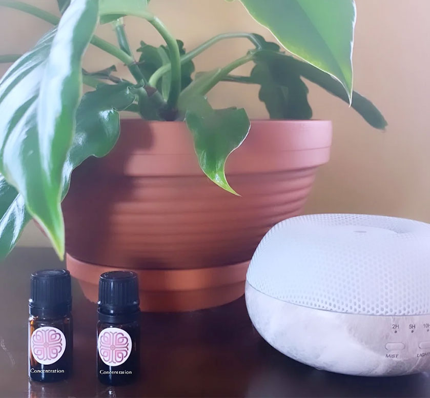With Love Group Concentration Essential Oil - Image 2